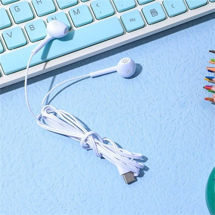 electronic showroom franchise